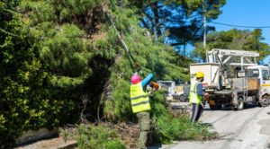 Κηφισιά: Με σχεδιασμό και πρόγραμμα πραγματοποιείται η απομάκρυνση των πεσμένων δένδρων και κλαδιών στο Δήμο