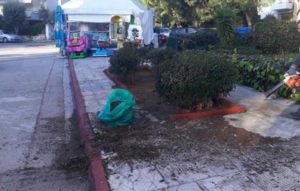 Μαρούσι: Απολυμάνσεις, Καθαριότητα και Συντήρηση Πρασίνου στην ημερήσια διάταξη του Δήμου Αμαρουσίου