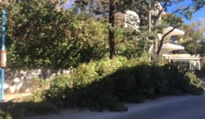 Πεντέλη: Τα συνεργεία του Δήμου εργάζονται συνεχώς για την απομάκρυνση των κομμένων δέντρων και κλαδιών που άφησε πίσω της η κακοκαιρία