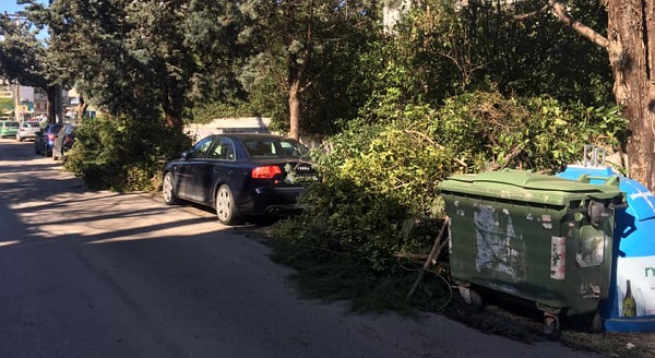 Πεντέλη: Τα συνεργεία του Δήμου εργάζονται συνεχώς για την απομάκρυνση των κομμένων δέντρων και κλαδιών που άφησε πίσω της η κακοκαιρία