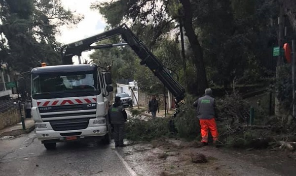 Πεντέλη: Οι υπηρεσίες του Δήμου βρίσκονται στους δρόμους από τα χαράματα προκειμένου να απομακρυνθούν τα πεσμένα δέντρα και κλαδιά από τους δρόμους