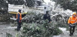 ΣΠΑΥ: Ο Πρόεδρος και το Διοικητικό Συμβούλιο του Συνδέσμου, ευχαριστούν θερμά το ανθρώπινο δυναμικό του, τις Εθελοντικές Ομάδες και τα στελέχη της Πολιτικής Προστασίας