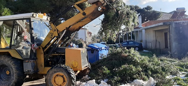 ΣΠΑΠ: Ο Σύνδεσμος συνδράμει τον Δήμο Πεντέλης με μικτό συνεργείο από μηχανήματα της Περιφέρειας Αττικής, εθελοντές και εργαζομένους του στο μάζεμα των κλαριών