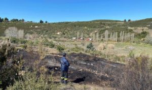 Διόνυσος: Πυρκαγιά στην Σταματά