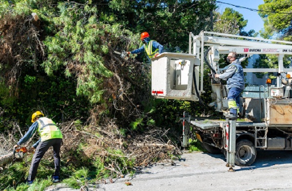 Κηφισιά: Έκκληση για τα κηπαία