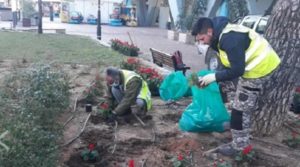 Μαρούσι: Καθαριότητα, Απολυμάνσεις  και Συντήρηση Πρασίνου στο Δήμο Αμαρουσίου