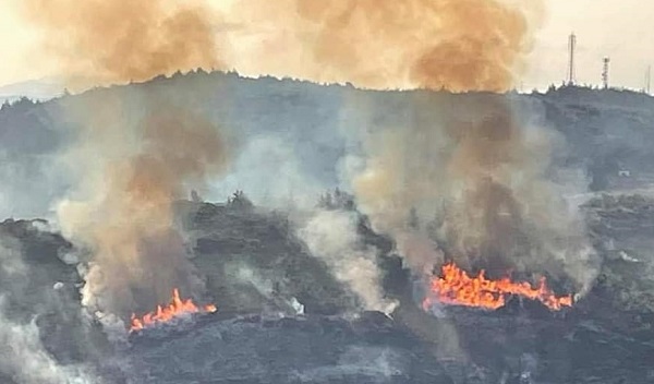 Ωρωπός: Πυρκαγιά σε αγροτοδασική έκταση στην περιοχή του Καλάμου