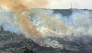 Ωρωπός: Πυρκαγιά σε αγροτοδασική έκταση στην περιοχή του Καλάμου