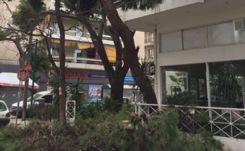 Λυκόβρυση Πεύκη:  Συνεχίζονται τα κλαδέματα και οι απομακρύνσεις πεσμένων δέντρων στον Δήμο