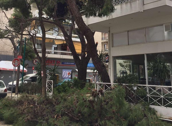 Λυκόβρυση Πεύκη:  Συνεχίζονται τα κλαδέματα και οι απομακρύνσεις πεσμένων δέντρων στον Δήμο