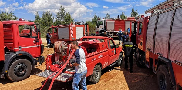 Διόνυσος: Τρεις πυρκαγιές στη Δημοτική ενότητα Ανοίξεως και στη Δημοτική ενότητα Κρυονερίου σε δασικές εκτάσεις