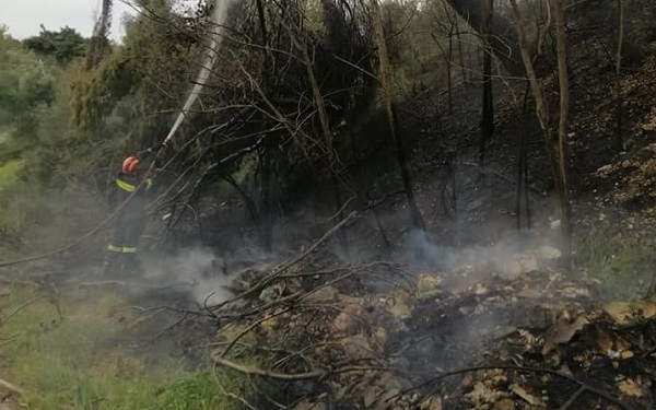 Διόνυσος: Πυρκαγιά στην Δημοτική κοινότητα του Αγίου Στεφάνου επί της Λ. Τραπεζούντος