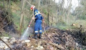 Διόνυσος: Πυρκαγιά στην Δημοτική κοινότητα του Αγίου Στεφάνου επί της Λ. Τραπεζούντος