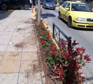 Μαρούσι: Πρόγραμμα εργασιών καθαριότητας και συντήρησης Πρασίνου του Δήμου Αμαρουσίου