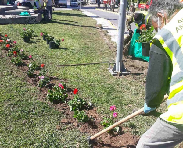Μαρούσι: Πρόγραμμα εργασιών καθαριότητας και συντήρησης Πρασίνου του Δήμου Αμαρουσίου