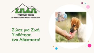 ΣΠΑΠ: Μήνυμα του Προέδρου για την Παγκόσμια Ημέρα Αδέσποτων Ζώων