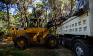 Κηφισιά: Προστασία των δασών του Δήμου από την Πολιτική Προστασία Κηφισιάς