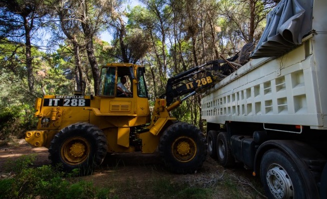 Κηφισιά: Προστασία των δασών του Δήμου από την Πολιτική Προστασία Κηφισιάς