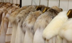 Ισραήλ: Η πρώτη χώρα παγκοσμίως που απαγορεύει το εμπόριο γούνας ζώων για την  μόδα