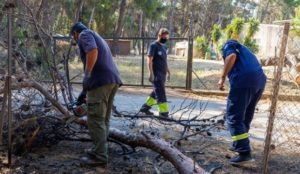 Κηφισιά: Δήμος και εθελοντές μετέτρεψαν τον συμβολισμό της Ημέρας Περιβάλλοντος σε Δράση και Αποτέλεσμα