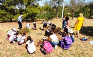 Παλλήνη: Εκατοντάδες λουλούδια, φύτεψαν σήμερα στο Πάρκο Ανθούσας, οι μαθητές του Δημοτικού Σχολείου