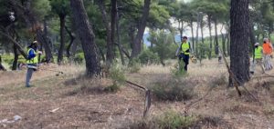 Πεντέλη: Προχωρά με γοργούς ρυθμούς στους καθαρισμούς των δασικών εκτάσεων της πόλης ο Δήμος