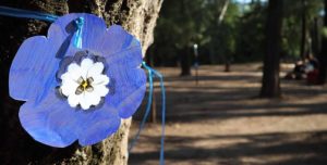 Χαλάνδρι: Γέμισε μπλε παπαρούνες η Ρεματιά - Μικροί και μεγάλοι στη γιορτή για την Παγκόσμια Ημέρα Περιβάλλοντος