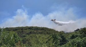 Μαραθώνας: Φωτιά στον Βαρνάβα Αττικής - Ενισχύονται συνεχώς οι δυνάμεις της Πυροσβεστικής