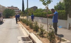 Βριλήσσια :  Συνεχίζονται οι φυτεύσεις καλλωπιστικών και αρωματικών φυτών σε σημεια της πόλης