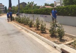 Βριλήσσια :  Συνεχίζονται οι φυτεύσεις καλλωπιστικών και αρωματικών φυτών σε σημεια της πόλης