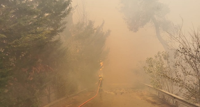 Διόνυσος: Μάχη με τις φλόγες δίνουν Πυροσβέστες, υπάλληλοι της Πολιτικής Προστασίας του Δήμου και εθελοντές για να σβήσει η μεγάλη φωτιά