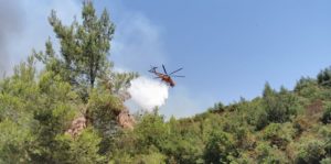 Διόνυσος: Μάχη με τις φλόγες δίνουν Πυροσβέστες, υπάλληλοι της Πολιτικής Προστασίας του Δήμου και εθελοντές για να σβήσει η μεγάλη φωτιά