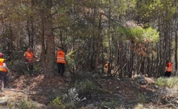 Διόνυσος: Με σχεδιασμό και πρόγραμμα ο Δήμος συνεχίζει να καθαρίζει και να προστατεύει το βουνό