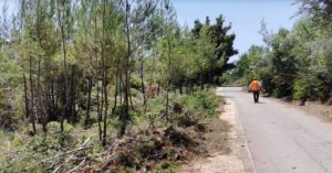 Διόνυσος: Με σχεδιασμό και πρόγραμμα ο Δήμος συνεχίζει να καθαρίζει και να προστατεύει το βουνό