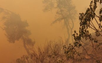 Διόνυσος: Σε ύφεση βρίσκεται η μεγάλη φωτιά σε Σταμάτα και Ροδόπολη