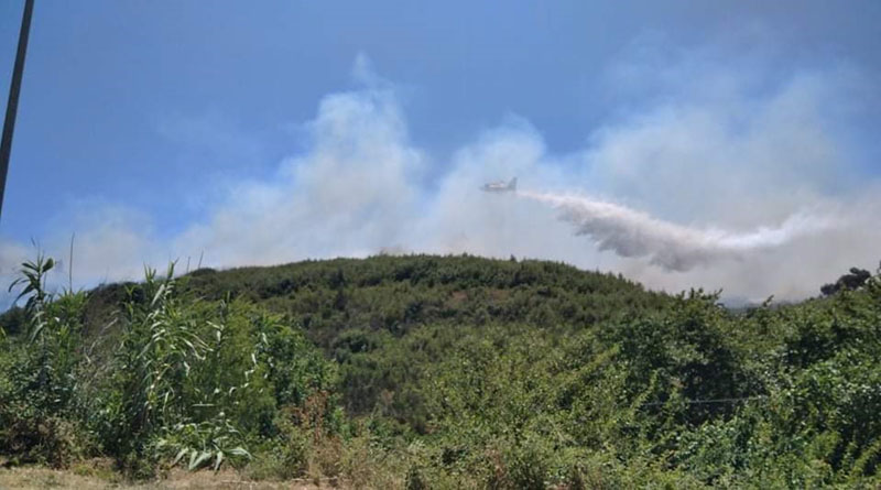 Μαραθώνας : Φωτιά σε δασική έκταση στο Βαρνάβα Αττικής