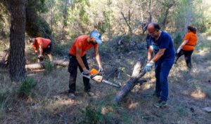 Το Δάσος Κεφαλαρίου αποτελεί ιδανικό χώρο περιπάτου και απόλαυσης της φύσης, συγκεντρώνοντας πολλούς επισκέπτες εντός και εκτός Δήμου