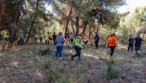 Το Δάσος Κεφαλαρίου αποτελεί ιδανικό χώρο περιπάτου και απόλαυσης της φύσης, συγκεντρώνοντας πολλούς επισκέπτες εντός και εκτός Δήμου