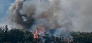 Μαραθώνας: Φωτιά στον Βαρνάβα Αττικής - Ενισχύονται συνεχώς οι δυνάμεις  της Πυροσβεστικής