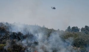 Μαραθώνας: Φωτιά στον Βαρνάβα Αττικής - Ενισχύονται συνεχώς οι δυνάμεις  της Πυροσβεστικής