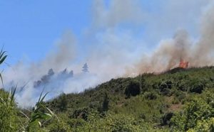 Μαραθώνας: Βελτιωμένη η κατάσταση στον Βαρνάβα