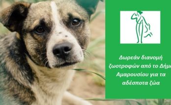 Μαρούσι: Δωρεάν διανομή ζωοτροφών από το Δήμο Αμαρουσίου για τα αδέσποτα ζώα