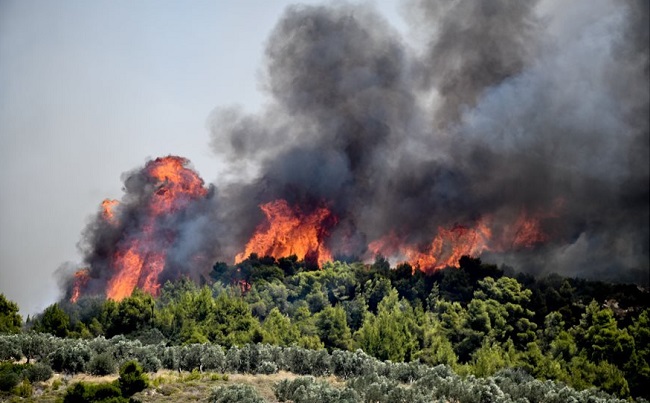 Γενική Γραμματεία Πολιτικής Προστασίας: Πολύ υψηλός κίνδυνος πυρκαγιάς (κατηγορία κινδύνου 4) για αύριο Κυριακή 11 Ιουλίου 2021