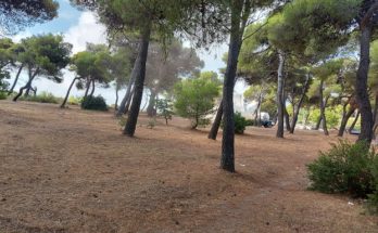 Οι καθαρισμοί συνεχίζονται με εντατικούς ρυθμους για δεύτερη εβδομάδα στην περιοχή της Νταού Πεντέλη