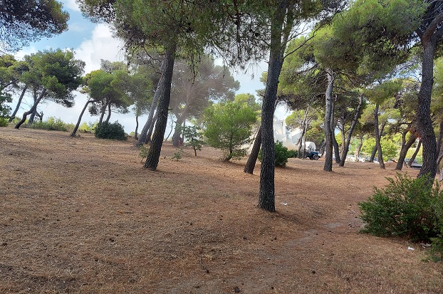 ΣΠΑΠ : Ολοκληρώθηκε η συνδρομή στον Δήμο Πεντέλης για τον καθαρισμό και την αποψίλωση ξερών χόρτων στο δάσος του Αγίου Σεραφείμ Πεντέλης