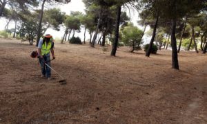 Οι καθαρισμοί συνεχίζονται με εντατικούς ρυθμους για δεύτερη εβδομάδα στην περιοχή της Νταού Πεντέλη