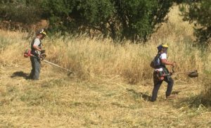 ΣΠΑΠ: Συνεχίζετε με γοργούς ρυθμούς η συνδρομή των καθαρισμών και αποψιλώσεων ξερών χόρτων του ΣΠΑΠ στους Δήμους – Μέλη