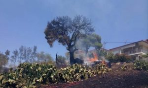 ΣΠΑΠ : Άμεση  επέμβαση στη πυρκαγιά που ξέσπασε στον Λόφο Παλλήνης