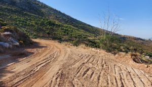 ΣΠΑΠ : Ο Σύνδεσμος συνεχίζει τις  εργασίες συντήρησης και αποκατάστασης  δασικών δρόμων στο Πεντελικό