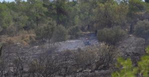 Χάρη στην άμεση επέμβαση της Πυροσβεστικής Υπηρεσίας, της Ελληνικής Αστυνομίας, των Εθελοντικών Ομάδων και των τμημάτων Πολιτικής Προστασίας των Δήμων η πυρκαγιά τέθηκε γρήγορα υπό έλεγχο.